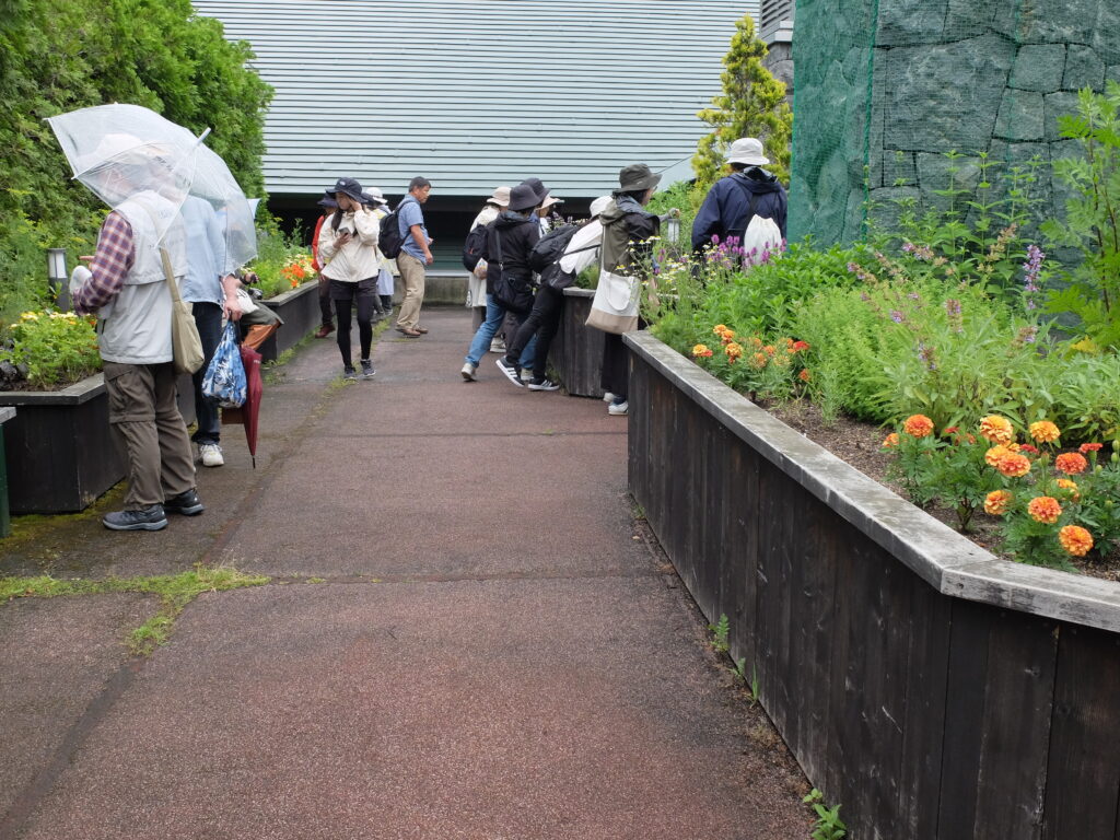 2024年さっぽろまちづくりガーデニング講座第10回目-見学会風景