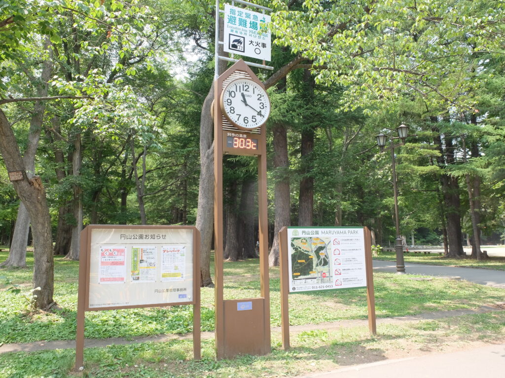 2024年さっぽろまちづくりガーデニング講座＜課外活動＞コンテナガーデンメンテナンス第2回目-メンテナンス風景