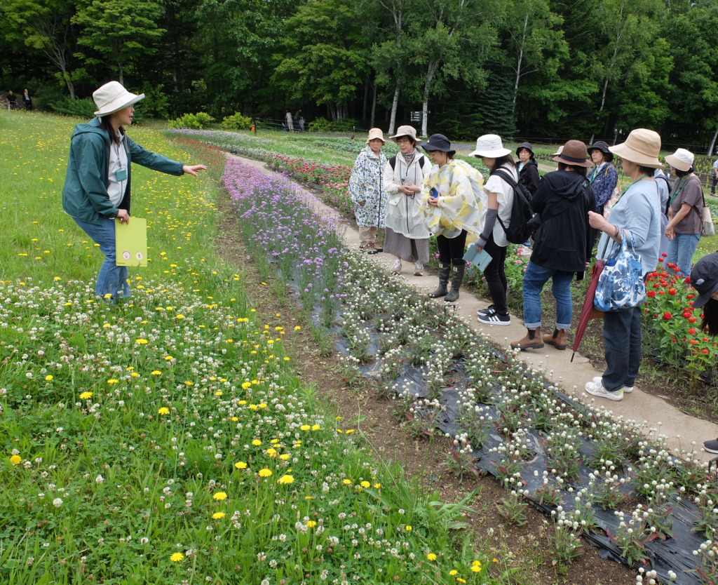 2024年さっぽろまちづくりガーデニング講座第10回目-見学会風景