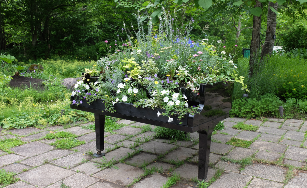 2024年さっぽろまちづくりガーデニング講座第10回目-見学会風景