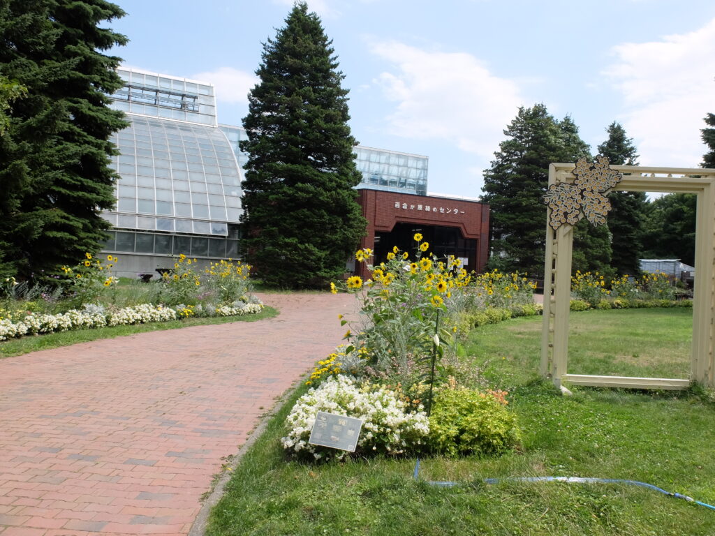 百合が原公園　温室前一年草花壇の様子