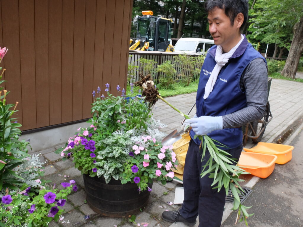2024年さっぽろまちづくりガーデニング講座＜課外活動＞コンテナガーデンメンテナンス第4回目-メンテナンス風景