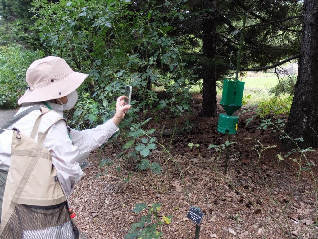 2024年さっぽろまちづくりガーデニング講座第12回目-講義風景（園内散策）