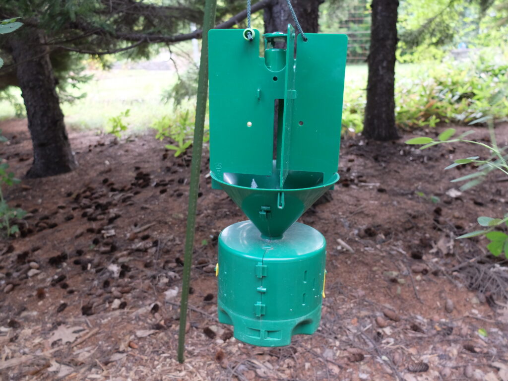 2024年さっぽろまちづくりガーデニング講座第12回目-百合が原公園（フェロモントラップ）