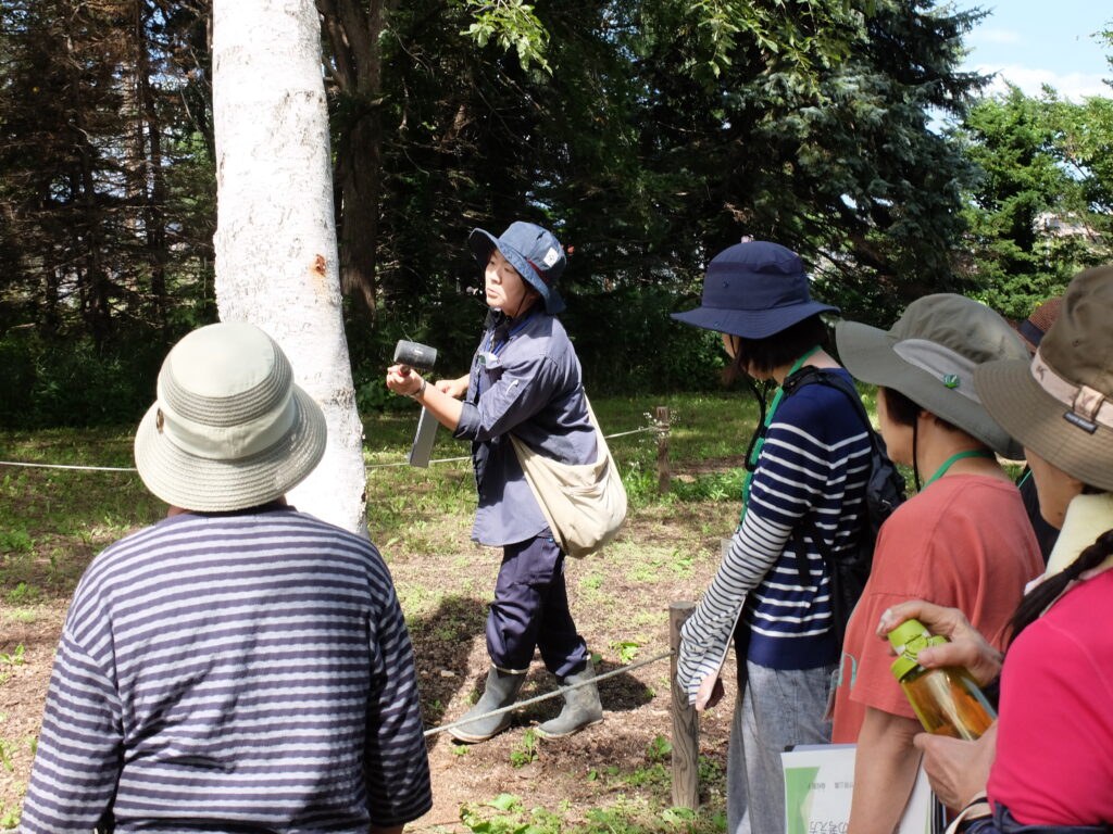 2024年さっぽろまちづくりガーデニング講座第12回目-講義風景（園内散策）