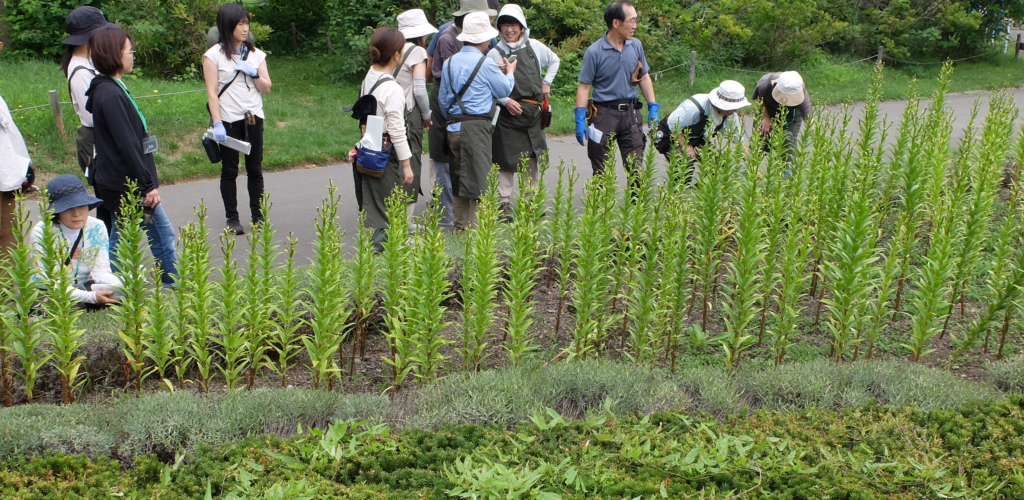 2024年さっぽろまちづくりガーデニング講座第11回目-講義風景（百合が原公園　星形花壇）