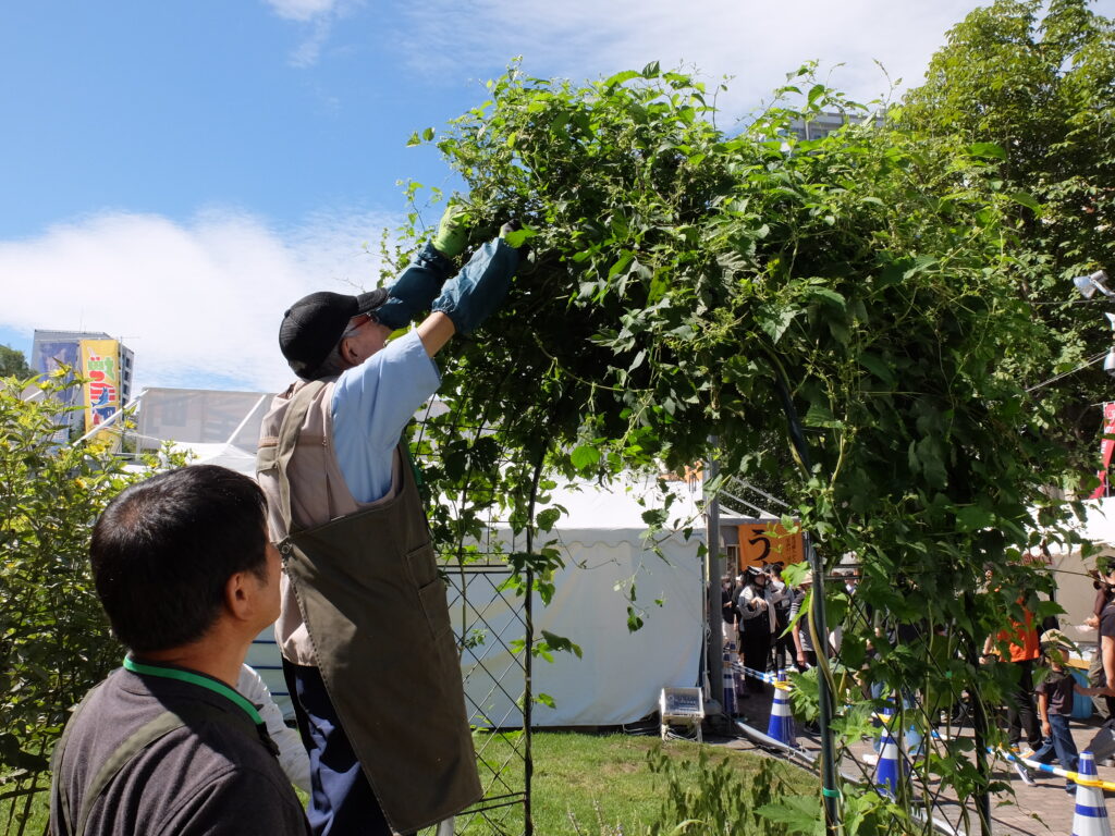 2024年さっぽろまちづくりガーデニング講座第13回目-実習風景