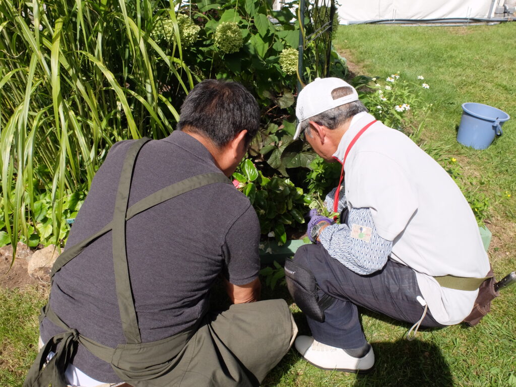 2024年さっぽろまちづくりガーデニング講座第13回目-実習風景