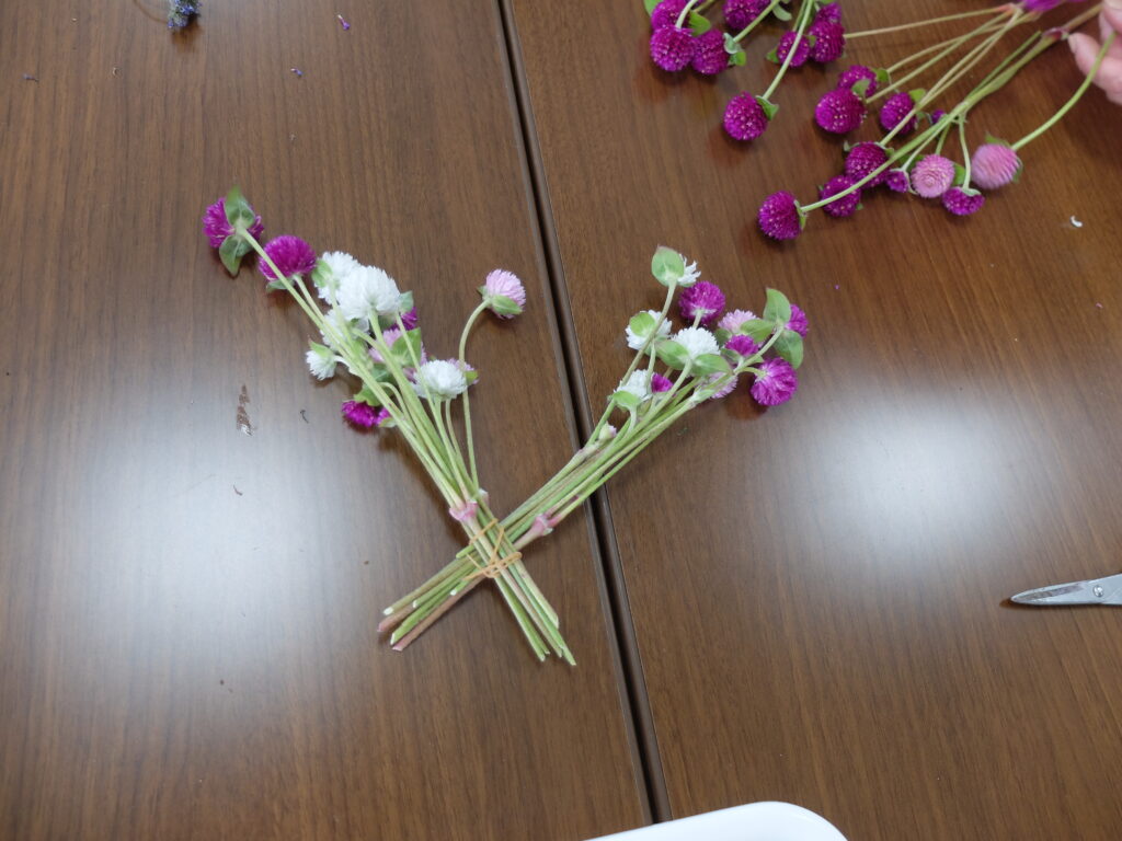 2024年さっぽろまちづくりガーデニング講座＜課外活動＞たねダンゴの花壇づくりメンテナンス第2回目-ドライフラワーづくり