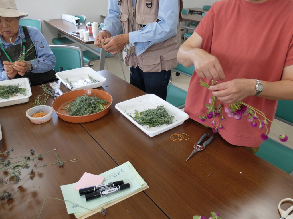 2024年さっぽろまちづくりガーデニング講座＜課外活動＞たねダンゴの花壇づくりメンテナンス第2回目-ドライフラワーづくり