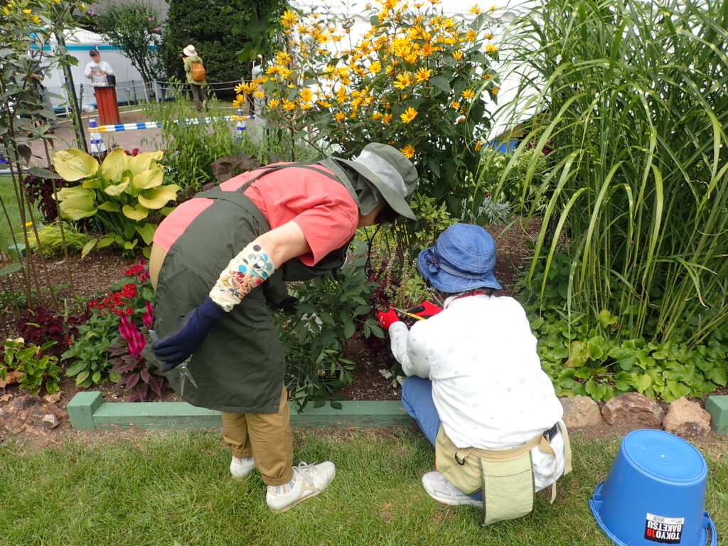 2024年さっぽろまちづくりガーデニング講座第13回目-実習風景