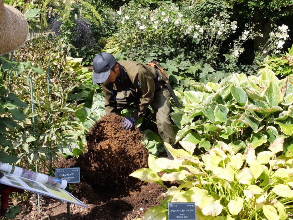 2024年さっぽろまちづくりガーデニング講座第14回目-実習風景（講師のデモンストレーション）