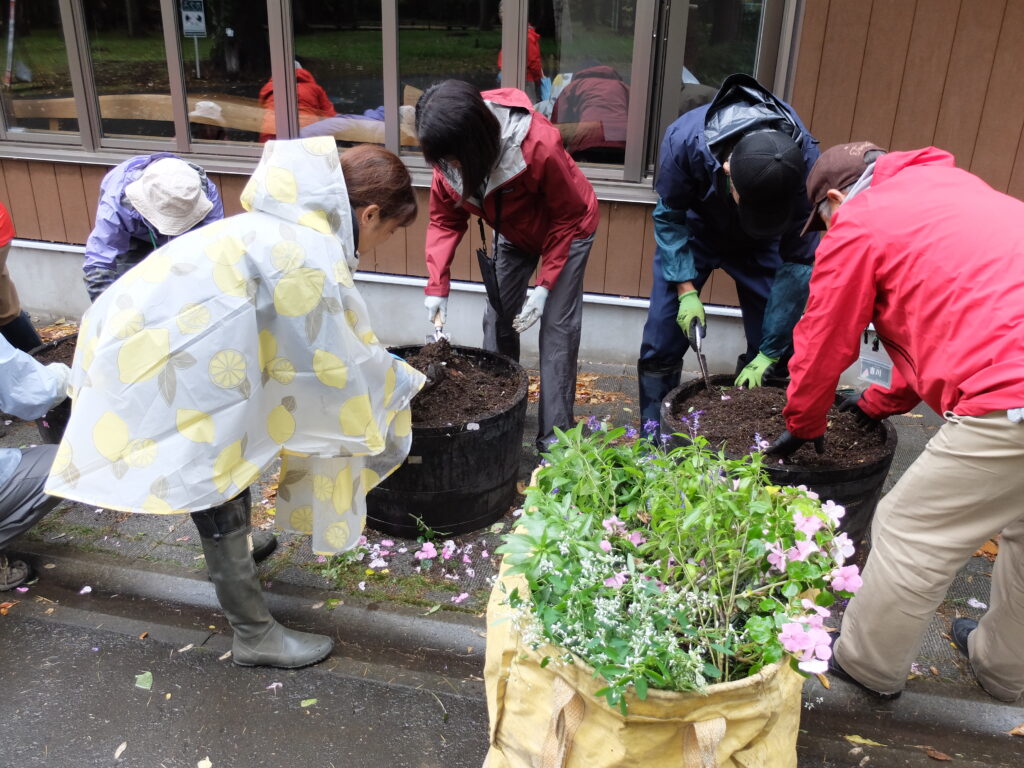 2024年さっぽろまちづくりガーデニング講座第15回目-実習風景