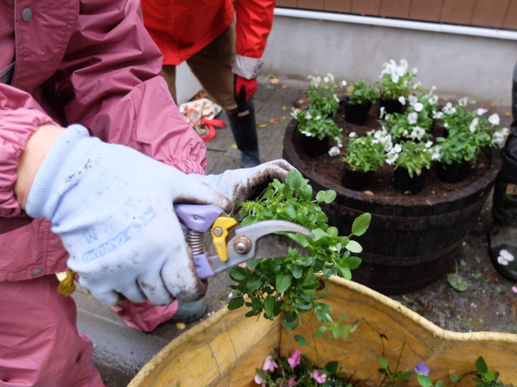 2024年さっぽろまちづくりガーデニング講座第15回目-実習風景