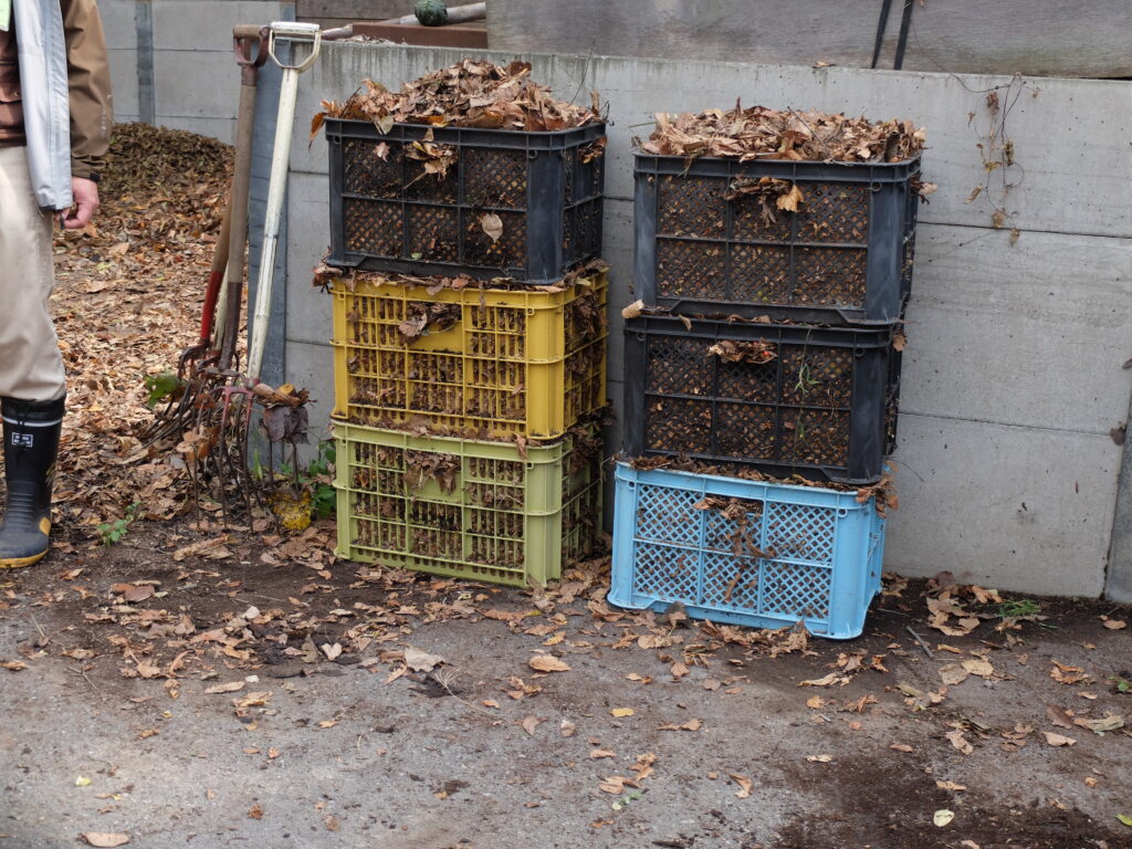 2024年さっぽろまちづくりガーデニング講座第16回目-実習風景（完成した落ち葉堆肥）