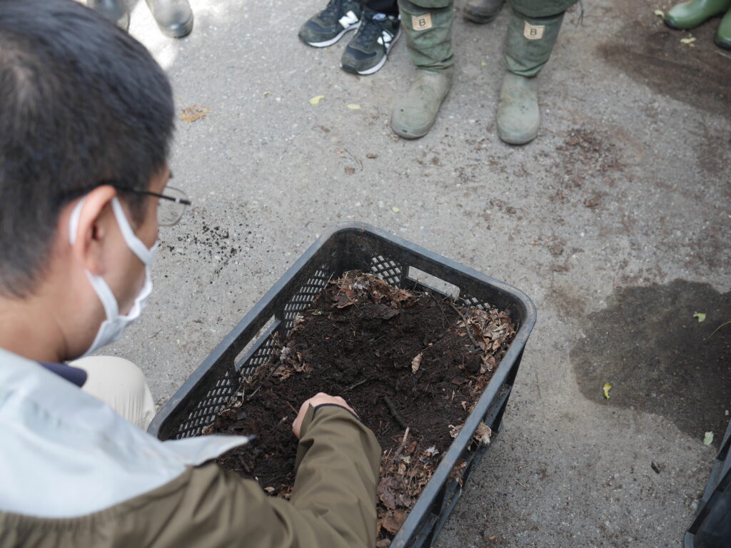 2024年さっぽろまちづくりガーデニング講座第16回目-実習風景（昨年作成した落ち葉堆肥の様子）