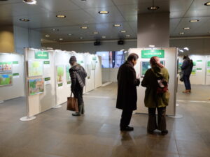 緑の絵展示の様子