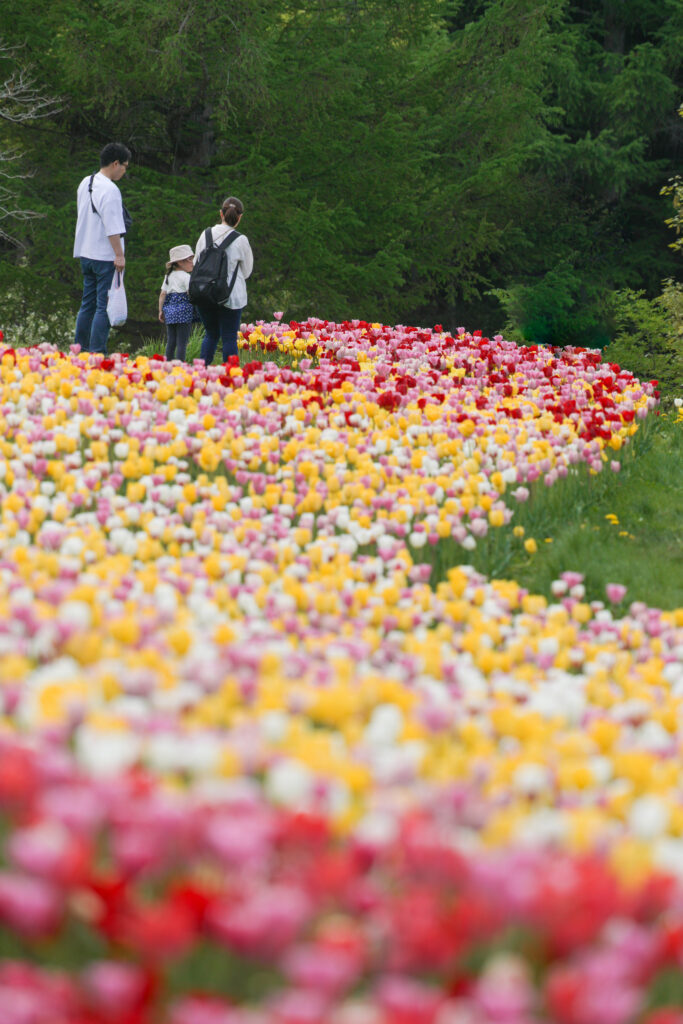 2024グランプリ作品