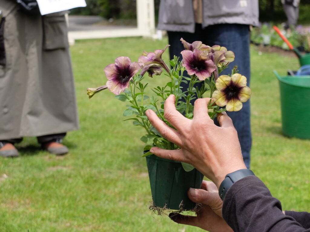 2025年さっぽろまちづくりガーデニング講座第5回目－講義風景