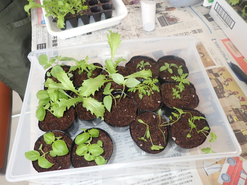 2025年さっぽろまちづくりガーデニング講座第4回目－講義風景