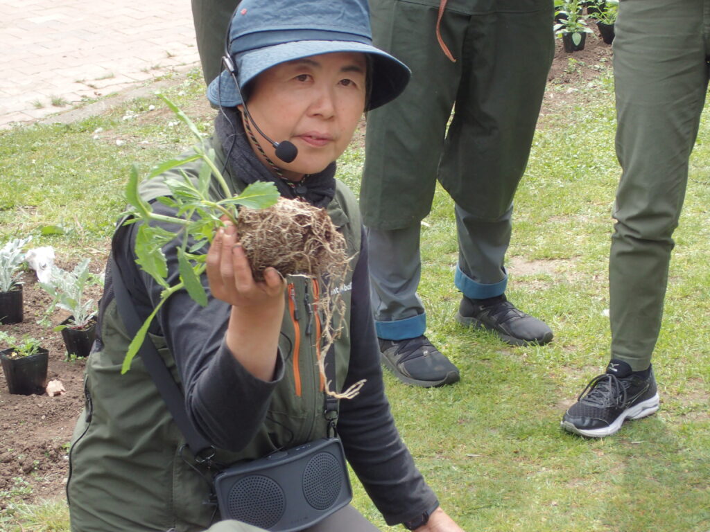 2025年さっぽろまちづくりガーデニング講座第5回目－講義風景