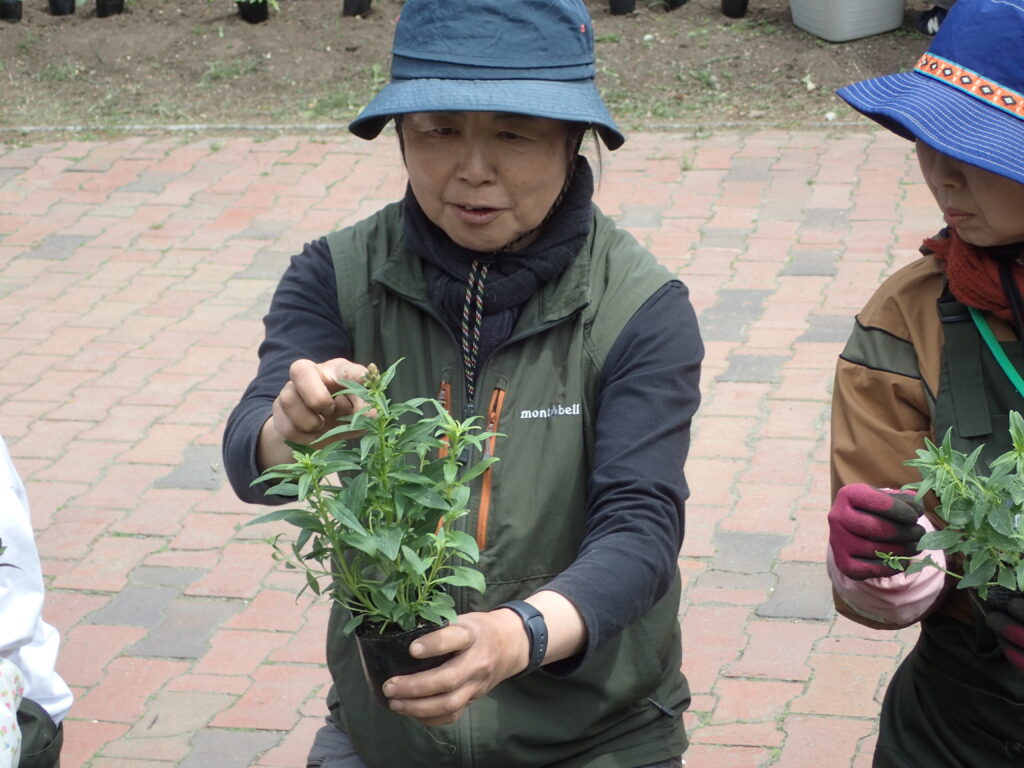 2025年さっぽろまちづくりガーデニング講座第5回目－講義風景