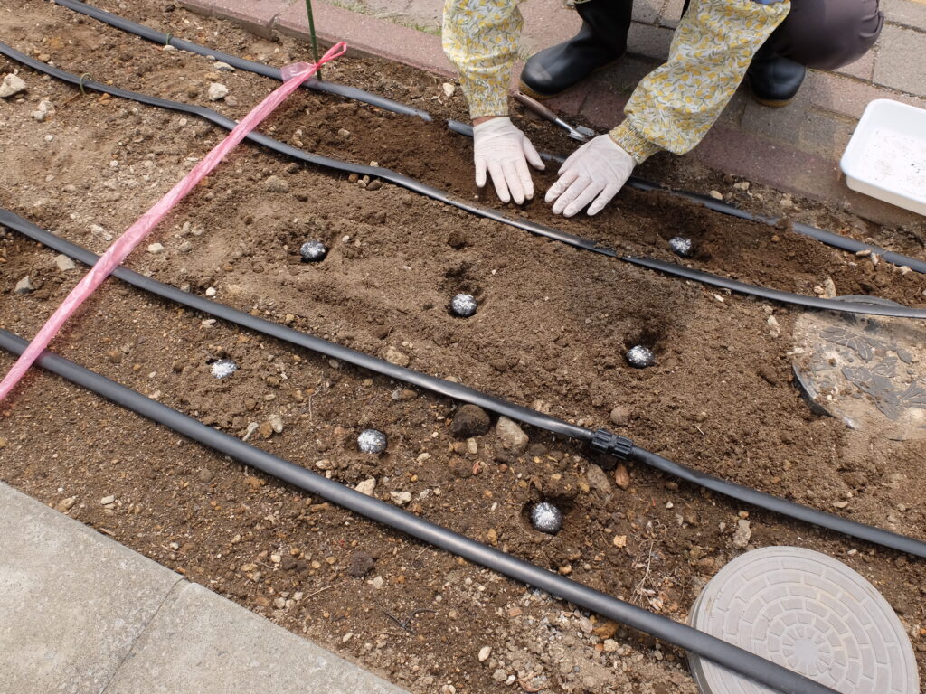 2025年さっぽろまちづくりガーデニング講座第6回目－講義風景