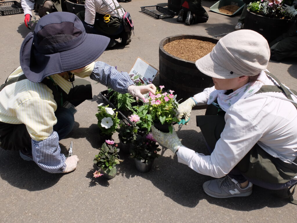 2025年さっぽろまちづくりガーデニング講座第7回目－実習風景