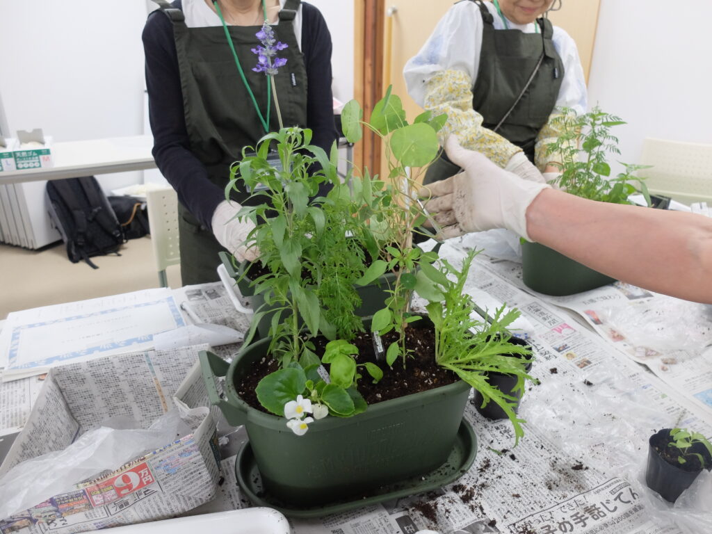 2025年さっぽろまちづくりガーデニング講座第8回目－受講者の完成した小さなポタジェの様子