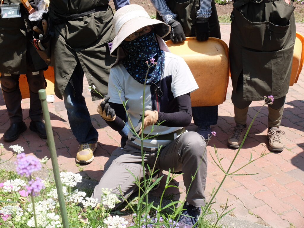 2025年さっぽろまちづくりガーデニング講座第9回目－講義・実習風景