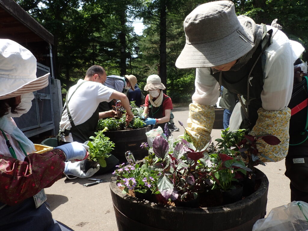 2025年さっぽろまちづくりガーデニング講座第7回目－実習風景