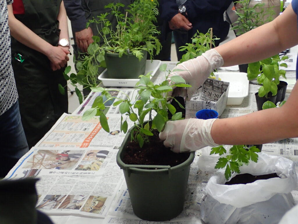 2025年さっぽろまちづくりガーデニング講座第8回目－講義・実習風景