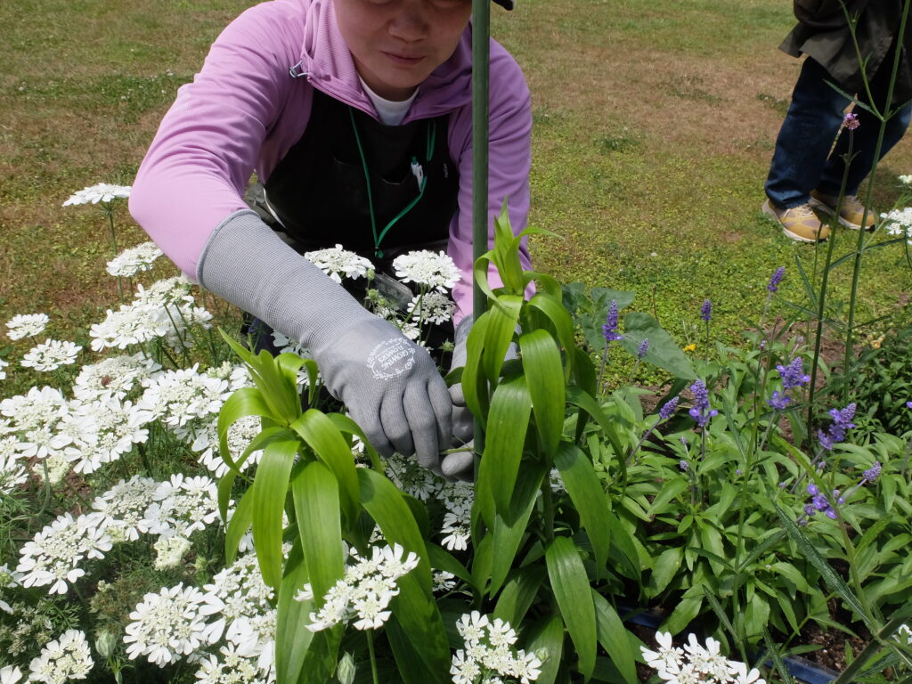 2025年さっぽろまちづくりガーデニング講座第9回目－講義・実習風景