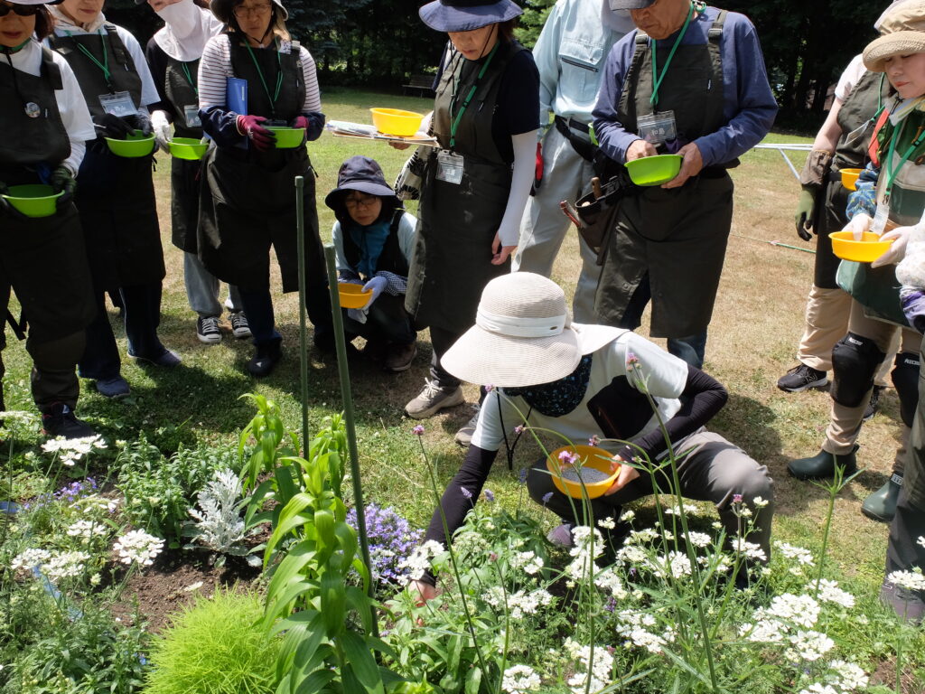 2025年さっぽろまちづくりガーデニング講座第9回目－講義・実習風景