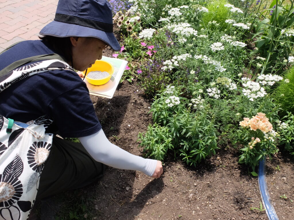 2025年さっぽろまちづくりガーデニング講座第9回目－講義・実習風景