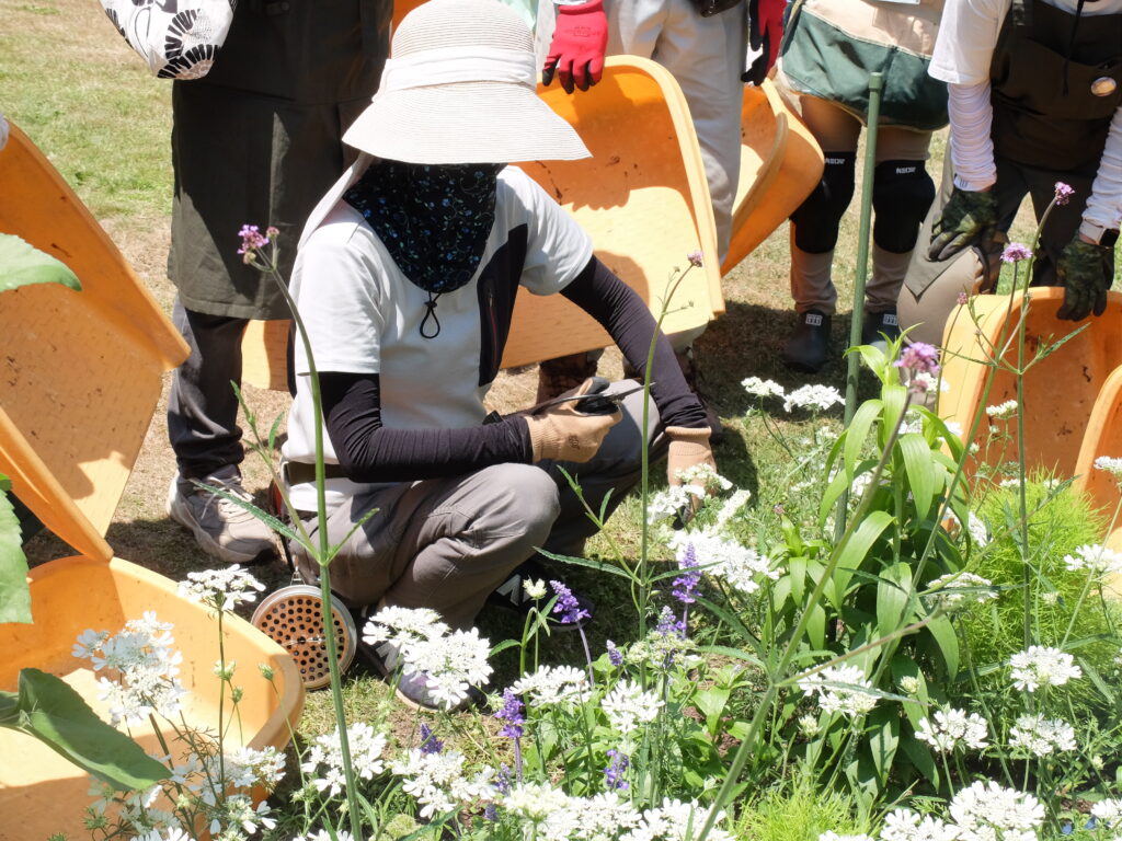 2025年さっぽろまちづくりガーデニング講座第9回目－講義・実習風景