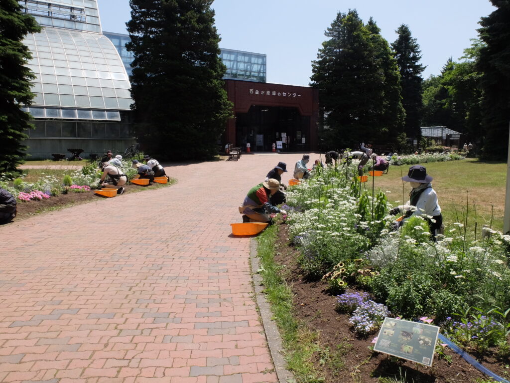 2025年さっぽろまちづくりガーデニング講座第9回目－講義・実習風景