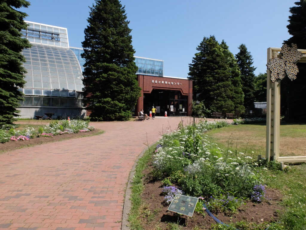 2025年さっぽろまちづくりガーデニング講座第9回目－メンテナンス後の花壇の様子