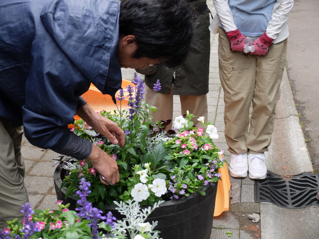 2025年さっぽろまちづくりガーデニング講座課外活動メンテナンス（円山公園①）－メンテナンス活動の様子