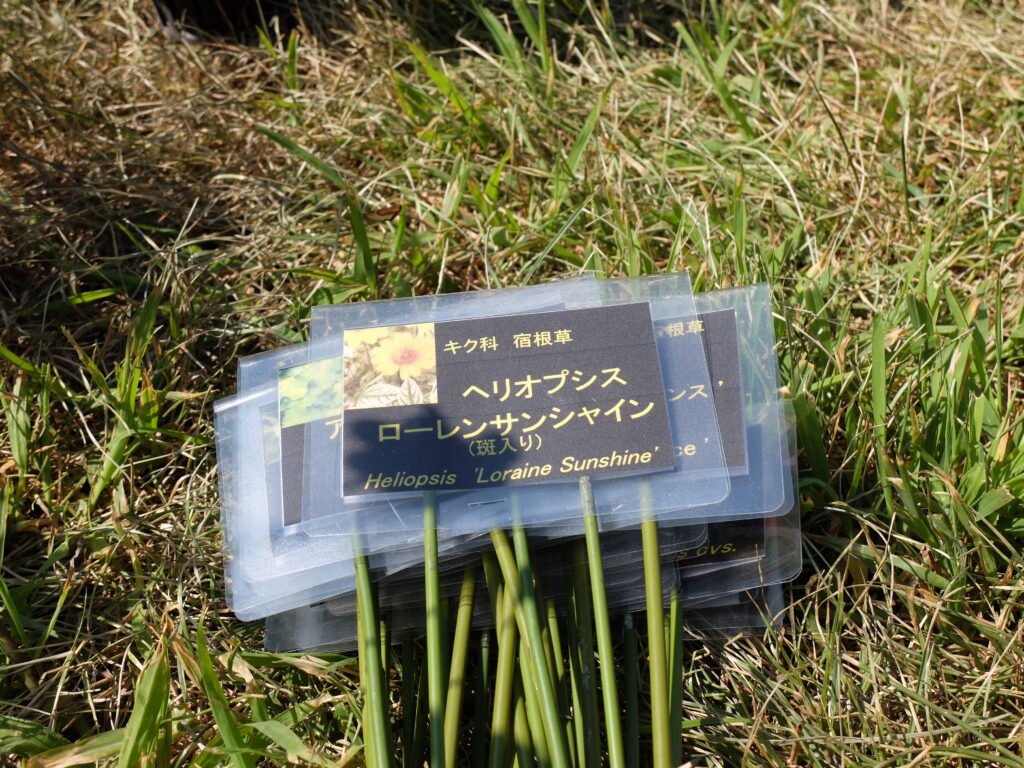 2025年さっぽろまちづくりガーデニング講座第10回目－プランツネーム