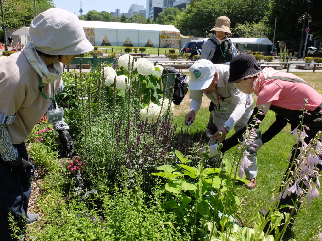 2025年さっぽろまちづくりガーデニング講座第10回目－講義・実習風景
