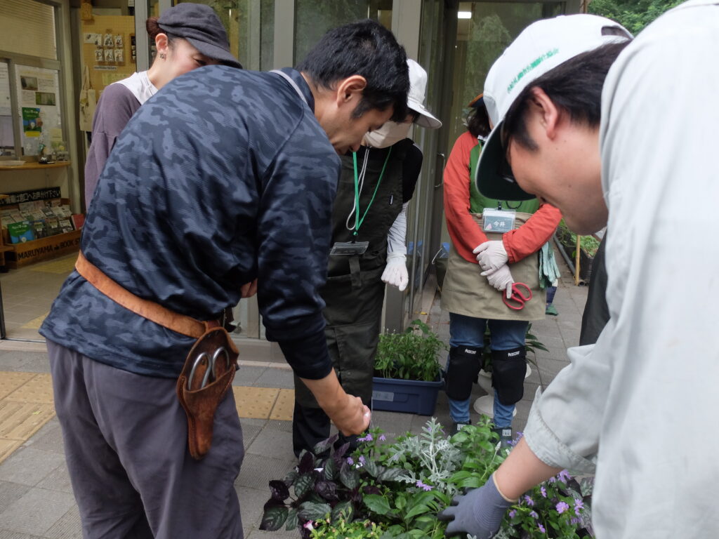 2025年さっぽろまちづくりガーデニング講座課外活動メンテナンス（円山公園②）－メンテナンス活動の様子