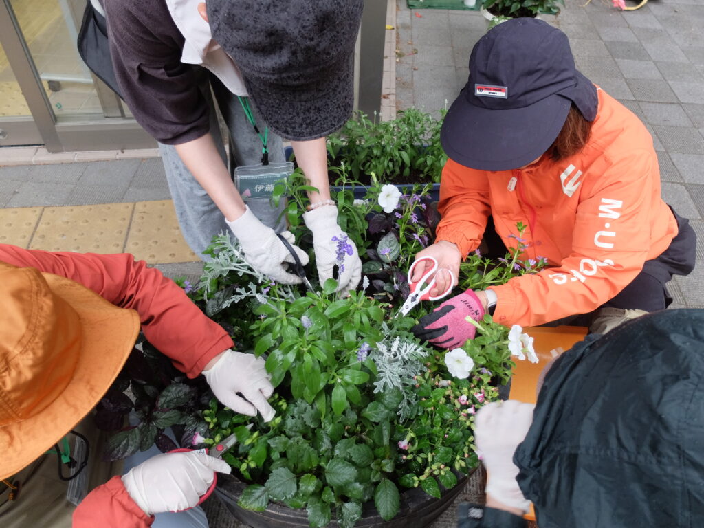 2025年さっぽろまちづくりガーデニング講座課外活動メンテナンス（円山公園②）－メンテナンス活動の様子