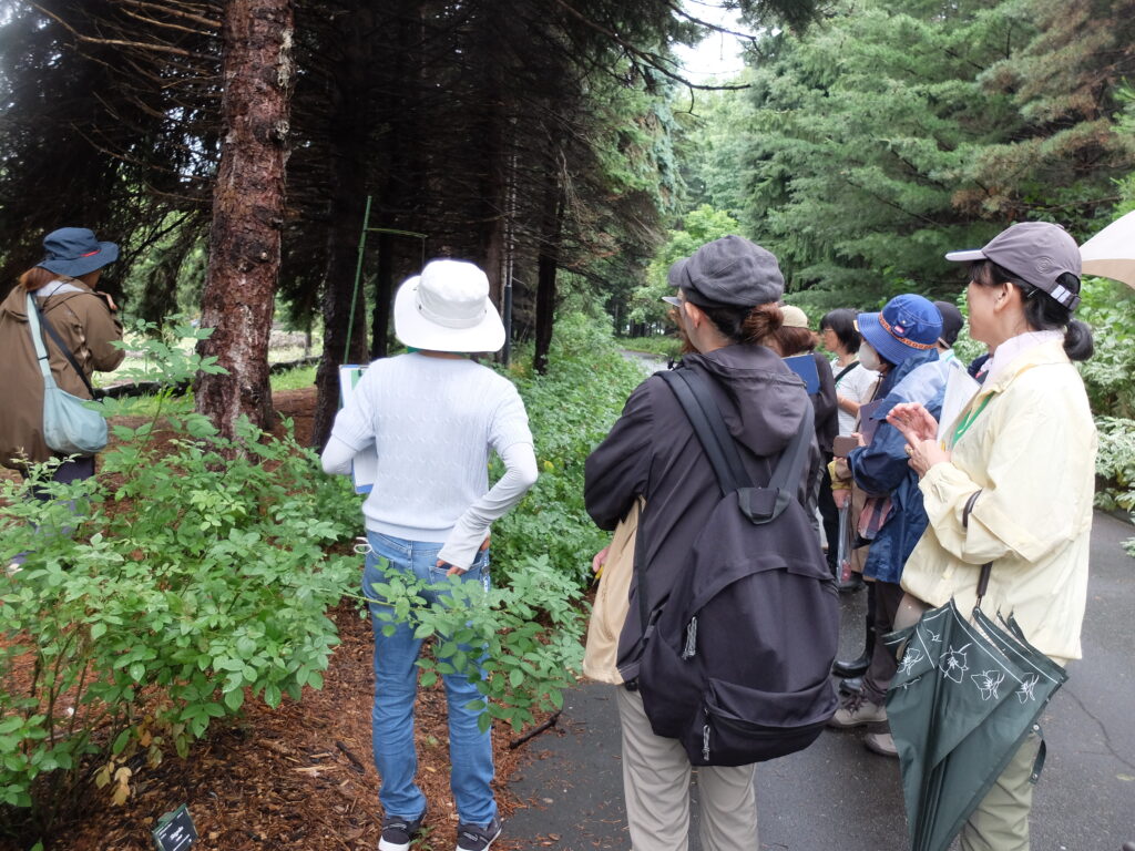 2025年さっぽろまちづくりガーデニング講座第11回目－園内見学の様子