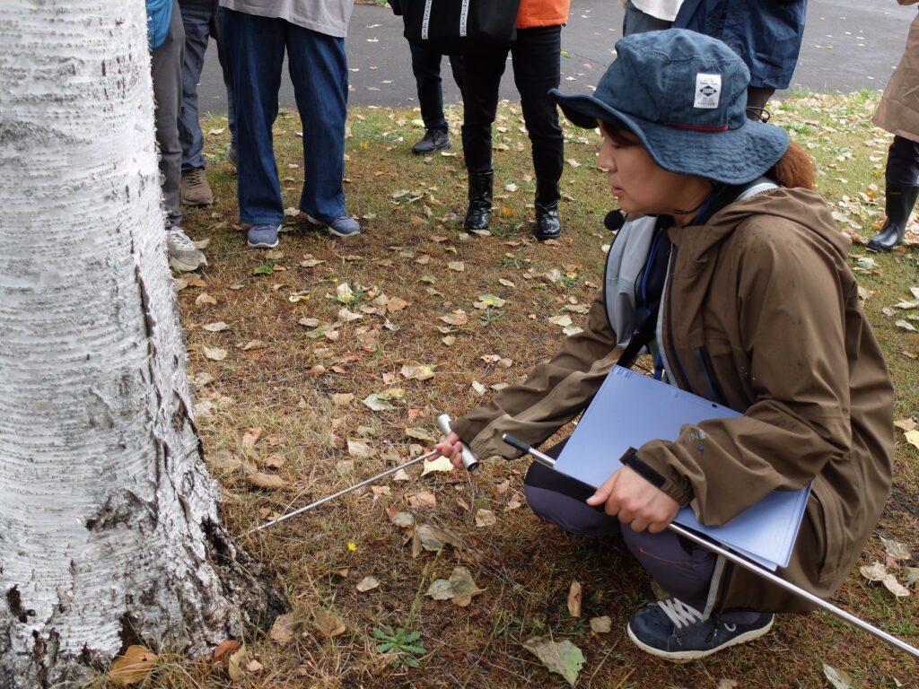 2025年さっぽろまちづくりガーデニング講座第11回目－樹木診断の様子
