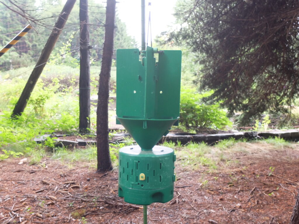 2025年さっぽろまちづくりガーデニング講座第11回目－フェロモントラップ