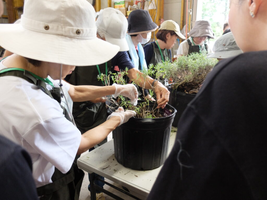 2025年さっぽろまちづくりガーデニング講座第12回目－実習風景