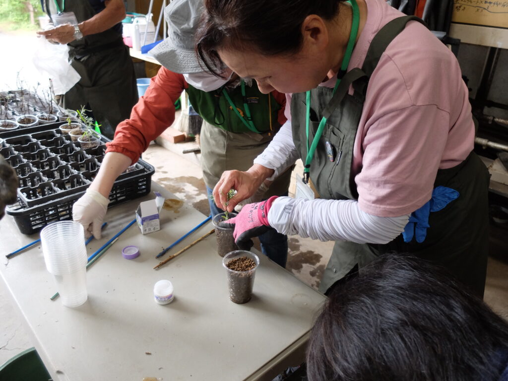 2025年さっぽろまちづくりガーデニング講座第12回目－実習風景