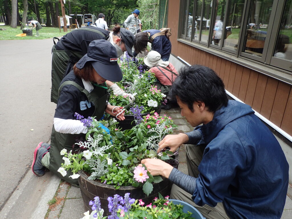 2025年さっぽろまちづくりガーデニング講座課外活動メンテナンス（円山公園①）－メンテナンス活動の様子