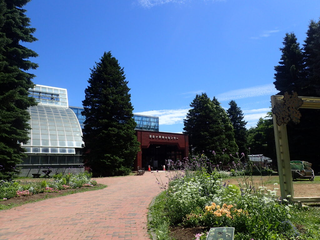 2025年さっぽろまちづくりガーデニング講座課外活動メンテナンス（百合が原公園①）－メンテナンス後の花壇の様子